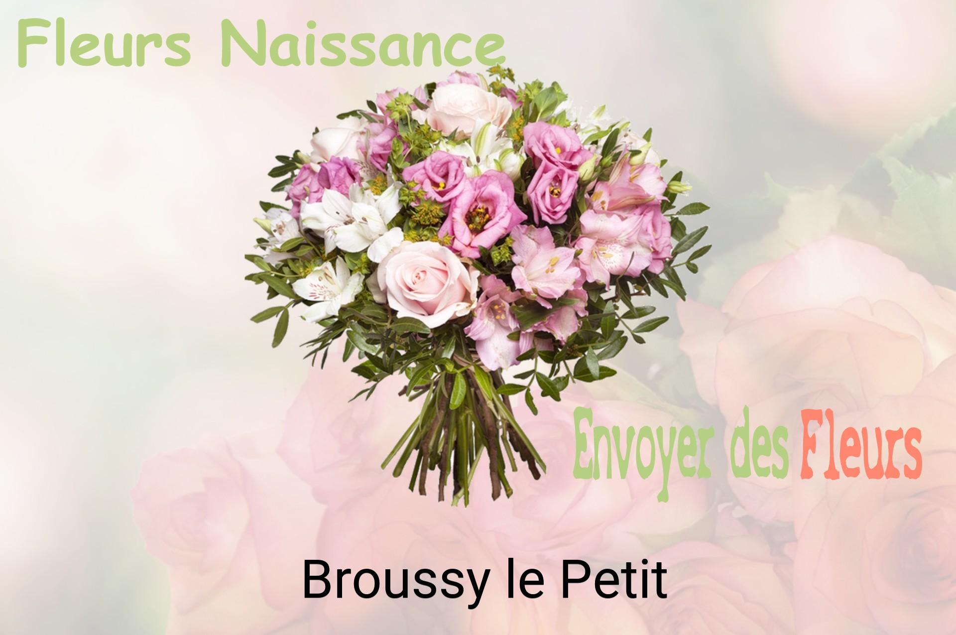 Bouquet de fleurs de naissance livré à Broussy-le-Petit